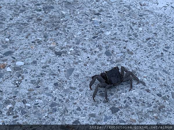 [台灣/台東] 沒有行程的台東純度假