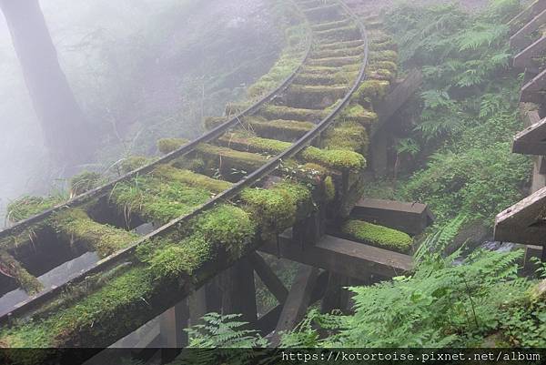 [台灣/宜蘭] 2021.8 宜蘭太平山3天2夜小旅行