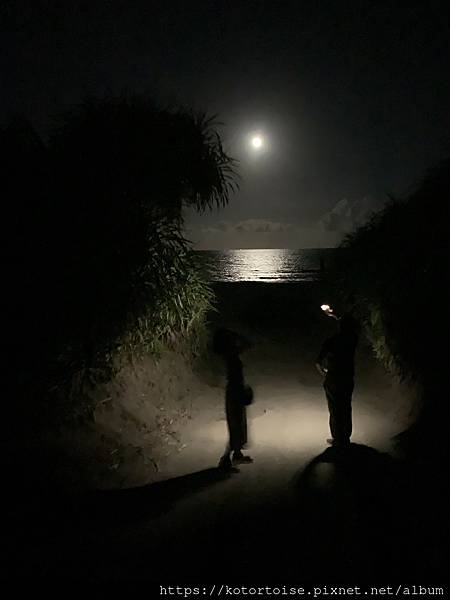 [台灣/宜蘭] 2021.8 宜蘭太平山3天2夜小旅行