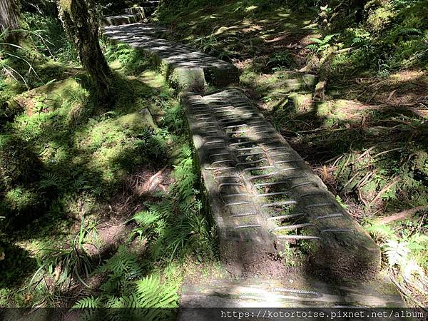 [台灣/宜蘭] 2021.8 宜蘭太平山3天2夜小旅行