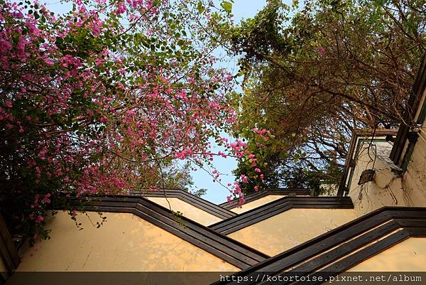 [台灣/高雄屏東] 2021.4 屏東高雄小旅行 - 打狗領