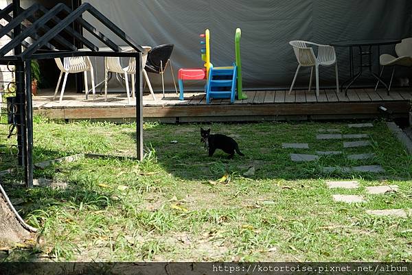 [台灣/高雄屏東] 2021.4 屏東高雄小旅行 - 打狗領