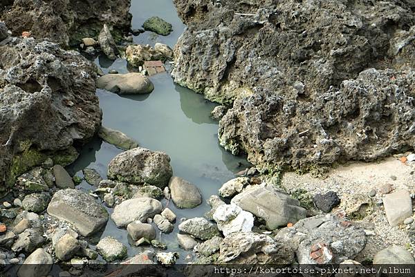 [台灣/屏東] 2021.12 墾丁福容飯店跨年，在船帆石海