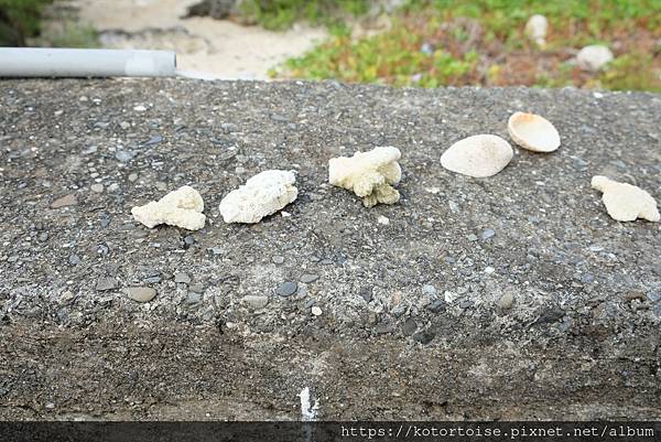 [台灣/屏東] 2021.12 墾丁福容飯店跨年，在船帆石海