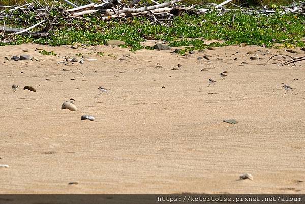[台灣/屏東] 2021.12 在墾丁夏都打熱血沙灘排球