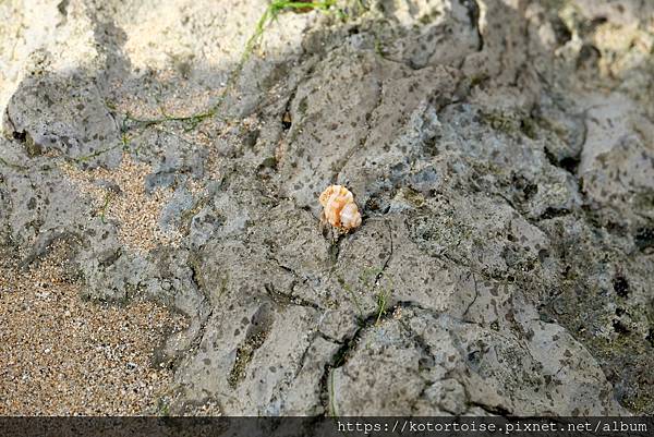 [台灣/屏東] 2021.12 在墾丁夏都打熱血沙灘排球