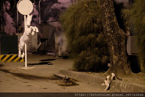 [台灣/高雄] 2021.12 港邊越夜越美麗