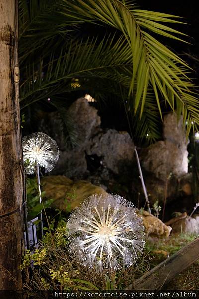 [台灣/高雄] 2021.12 港邊越夜越美麗