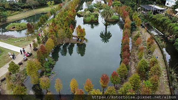 [台灣/桃園] 2021.12 跟流行到大溪月眉人工溼地賞落
