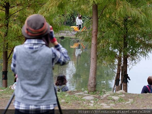 [台灣/桃園] 2021.12 跟流行到大溪月眉人工溼地賞落