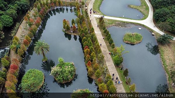 [台灣/桃園] 2021.12 跟流行到大溪月眉人工溼地賞落