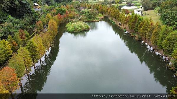 [台灣/桃園] 2021.12 跟流行到大溪月眉人工溼地賞落