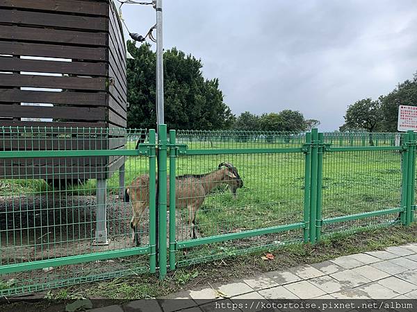 [台灣/新北] 2022.1 新莊到山佳: 鐵馬小旅行