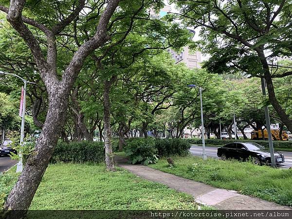 [早餐裡的城市] 國宅旁的熱豆漿