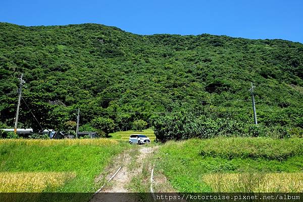 [台灣/花蓮台東] 2022.7 繼續沿著海，水稻田相伴，抵