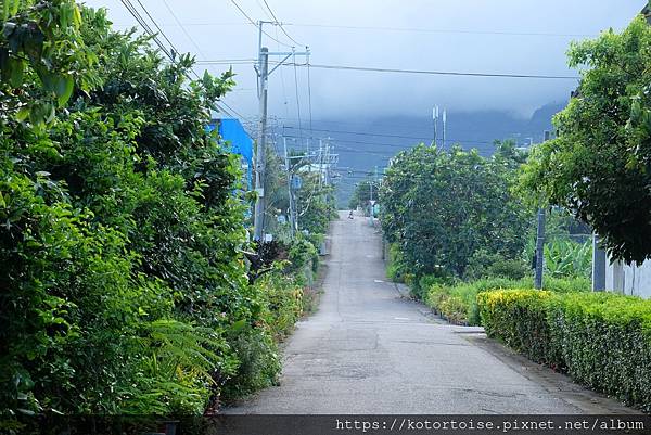 [台灣/台東] 2022.7 附沙灘的驚喜小民宿: 小阿姨野