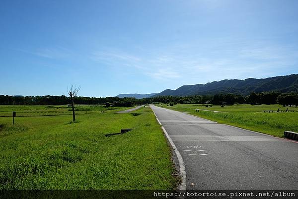 [台灣/花蓮] 2022.7 瑞穗,經過美麗的大農大富平地森