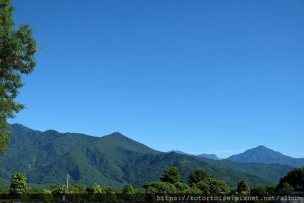 [台灣/花蓮] 2022.7 瑞穗,經過美麗的大農大富平地森