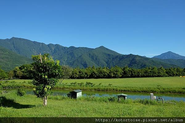 [台灣/花蓮] 2022.7 瑞穗,經過美麗的大農大富平地森
