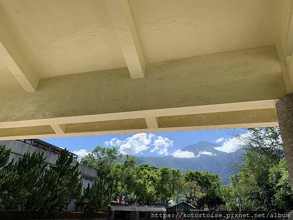 [台灣/花蓮] 2022.7 瑞穗,經過美麗的大農大富平地森