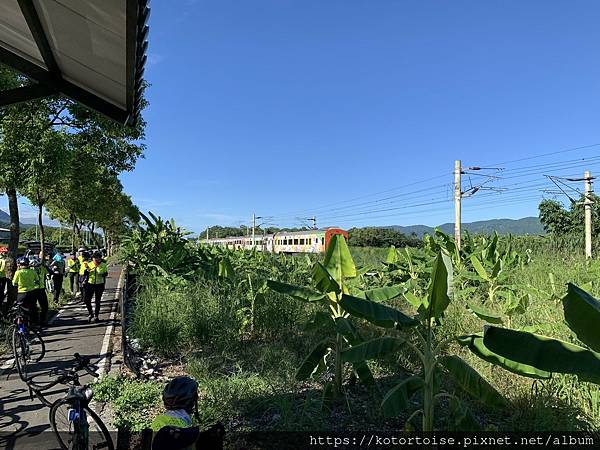 [台灣/花蓮] 2022.7 瑞穗,經過美麗的大農大富平地森