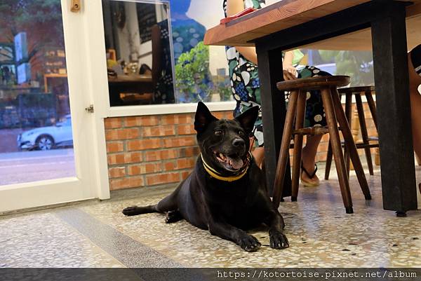 [台灣/台東] 2022.8 台東美食雜記: 寧記火鍋,野室