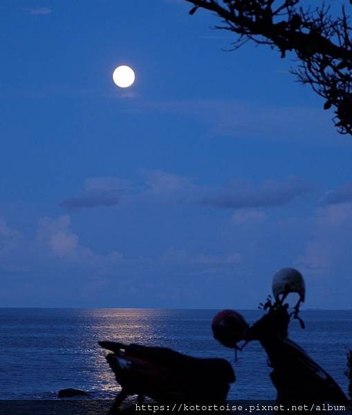 [台灣/台東] 2022.8 又來台東賞月光海音樂會: 五天