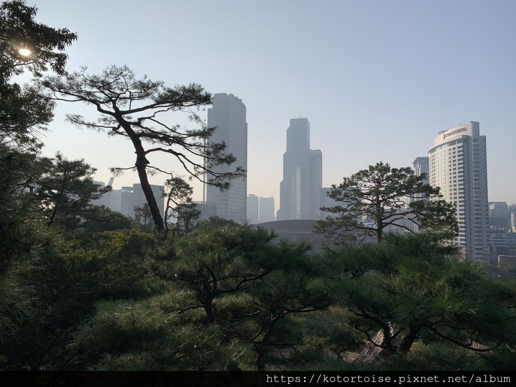 [韓國首爾] 2022.9/2023.2 奉恩寺: 江南區裡