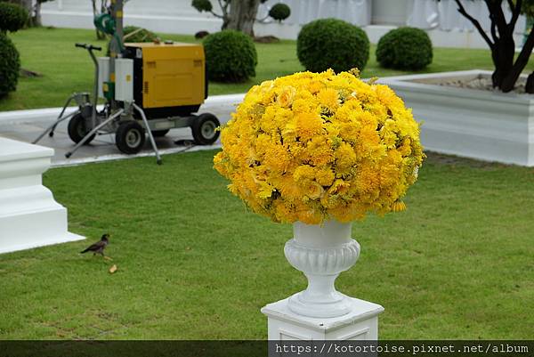 [泰國曼谷] 2022.10 清晨小旅行: 地鐵、渡輪、鄭王