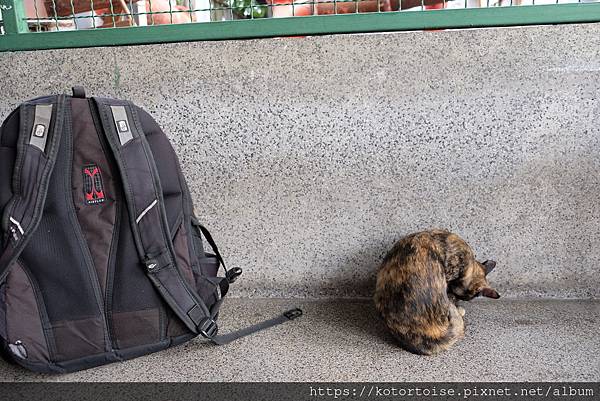 [泰國曼谷] 2022.10 清晨小旅行: 地鐵、渡輪、鄭王