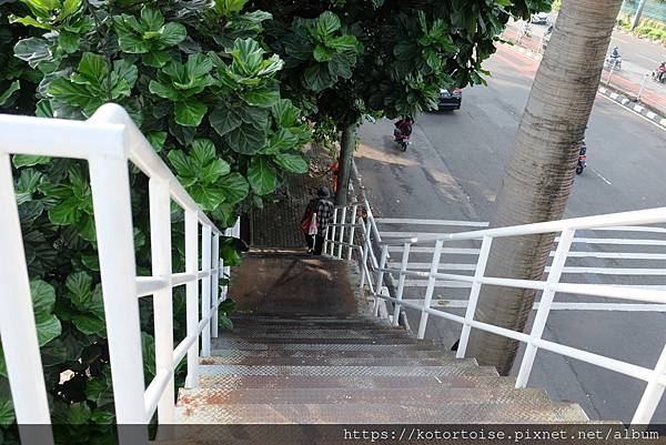 [印尼雅加達] 2022.11 難以形容的勃勃生機