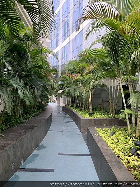 [印尼雅加達] 2022.11 難以形容的勃勃生機