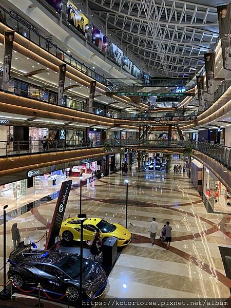 [印尼雅加達] 2022.11 難以形容的勃勃生機