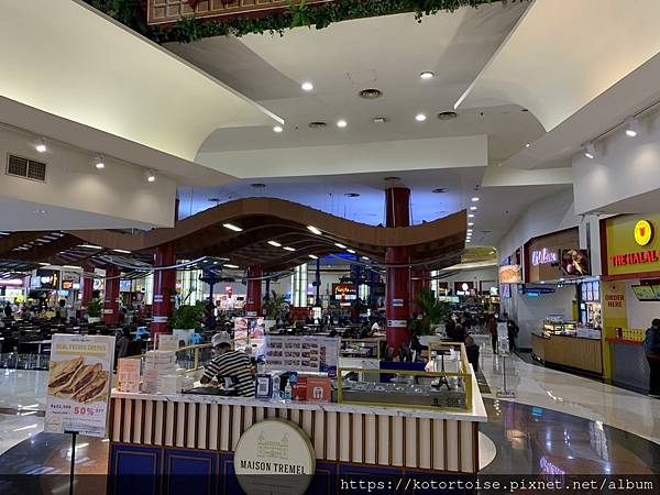 [印尼雅加達] 2022.11 難以形容的勃勃生機