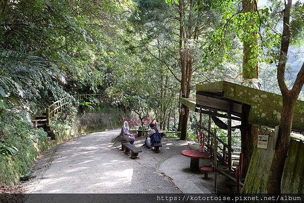 [台灣/宜蘭] 2022.12 終於見到抹茶山