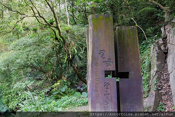 [台灣/宜蘭] 2022.12 終於見到抹茶山