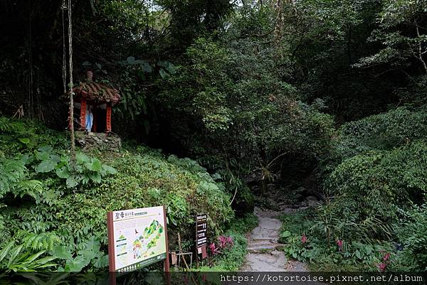 [台灣/宜蘭] 2022.12 終於見到抹茶山