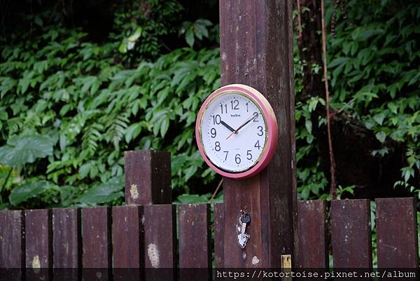 [台灣/宜蘭] 2022.12 終於見到抹茶山