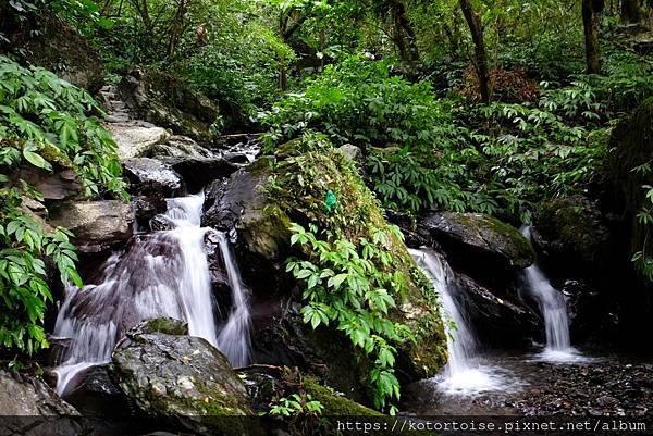 [台灣/宜蘭] 2022.12 終於見到抹茶山