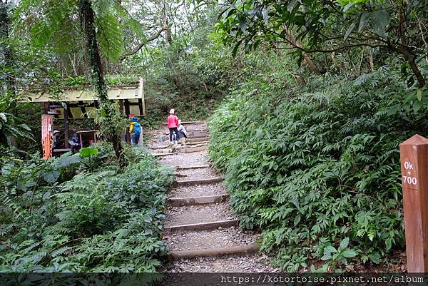 [台灣/宜蘭] 2022.12 終於見到抹茶山