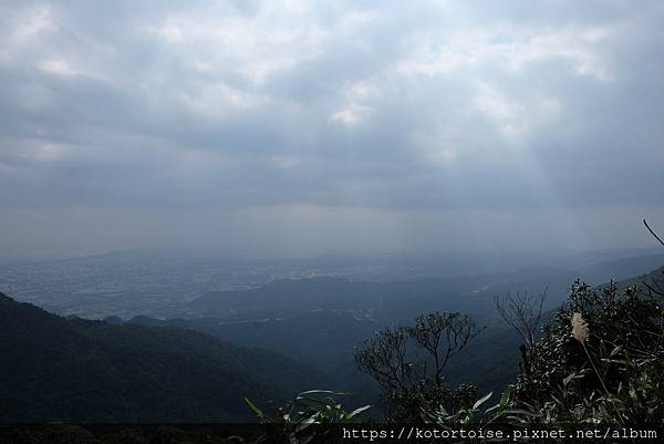 [台灣/宜蘭] 2022.12 終於見到抹茶山