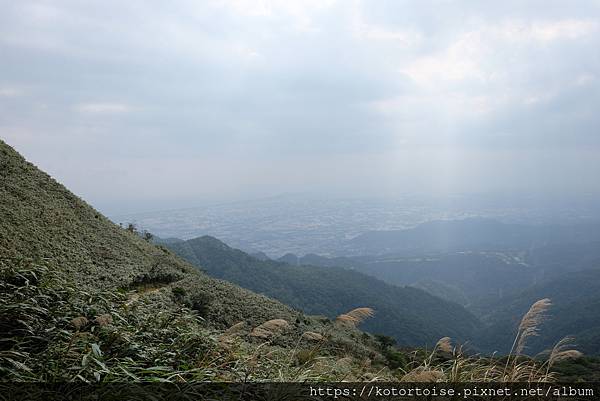[台灣/宜蘭] 2022.12 終於見到抹茶山
