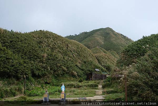 [台灣/宜蘭] 2022.12 終於見到抹茶山