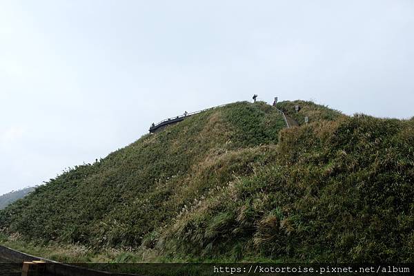 [台灣/宜蘭] 2022.12 終於見到抹茶山