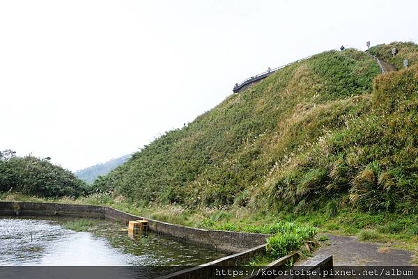 [台灣/宜蘭] 2022.12 終於見到抹茶山