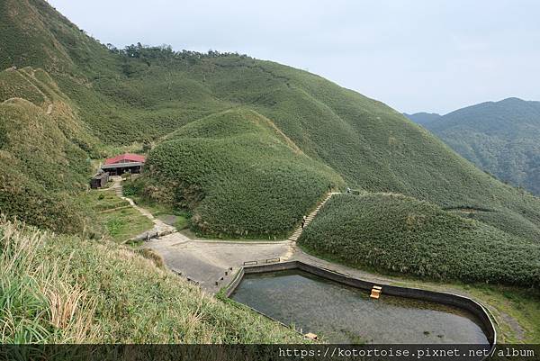 [台灣/宜蘭] 2022.12 終於見到抹茶山