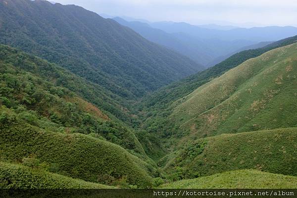 [台灣/宜蘭] 2022.12 終於見到抹茶山