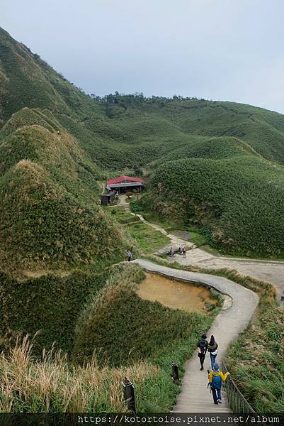[台灣/宜蘭] 2022.12 終於見到抹茶山