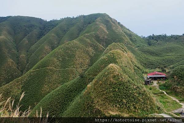 [台灣/宜蘭] 2022.12 終於見到抹茶山