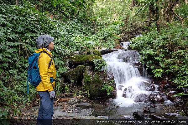 [台灣/宜蘭] 2022.12 終於見到抹茶山